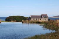 View from Mill Pond